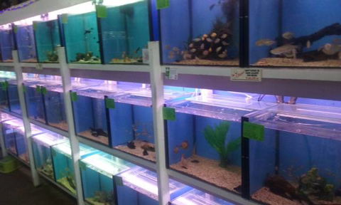 Summerland Aquarium - Accommodation Bookings 1