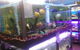 Summerland Aquarium - thumb 2