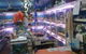 Summerland Aquarium - thumb 3
