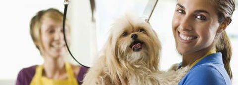 Port Stephens Pet Barn - Accommodation Bookings 1