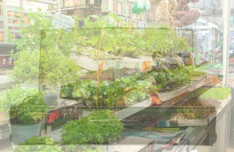 Warrawong Markets - Accommodation Bookings 2