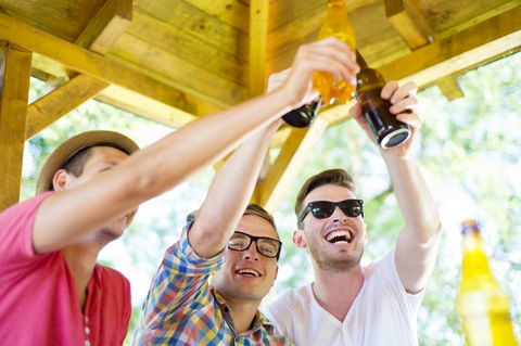 Airlie Beach Party Bus - Accommodation Bookings 1