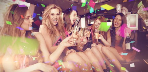 Airlie Beach Party Bus - Accommodation Bookings 2
