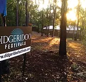 Didgeridoo Jam in the Park - Accommodation Bookings