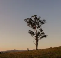 Faulls Ridge Winery - Accommodation Bookings