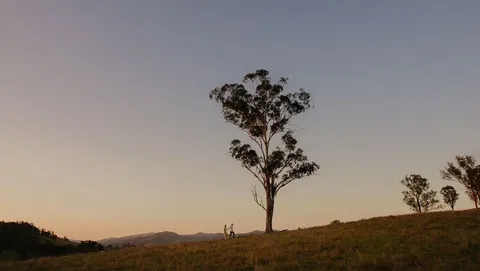 Faulls Ridge Winery - Accommodation Bookings 0