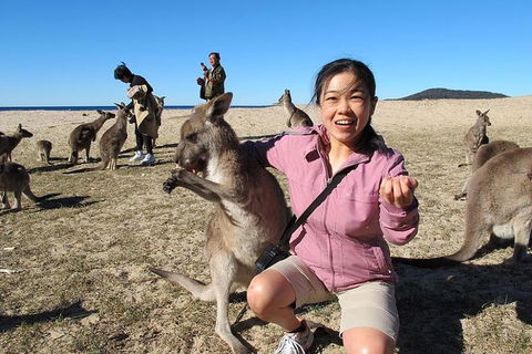 Batemans Bay Full-Day Tour From Canberra Including Indigenous Experience - Accommodation Bookings 0