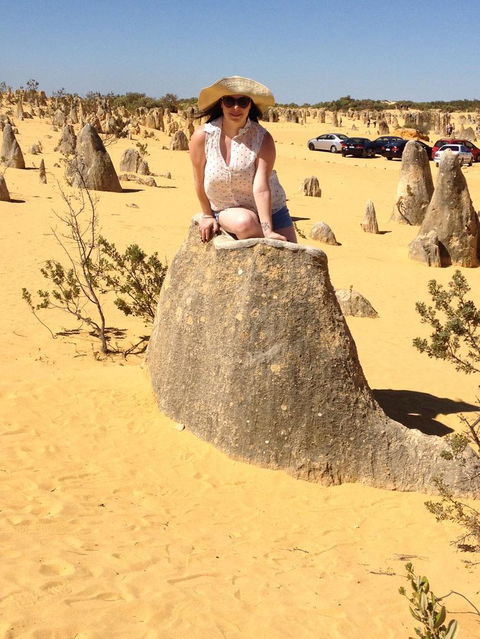 Pinnacles Desert, Koalas And Sandboarding 4WD Day Tour From Perth - Accommodation Bookings 18