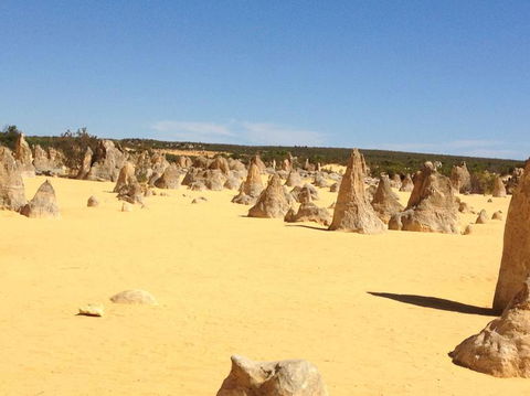 Pinnacles Desert, Koalas And Sandboarding 4WD Day Tour From Perth - Accommodation Bookings 15