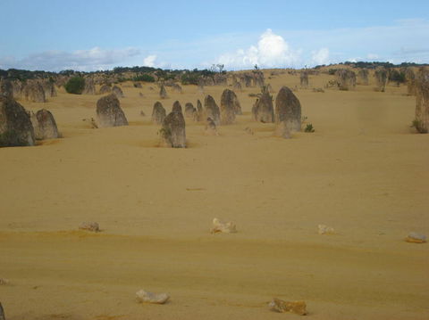 Pinnacles Desert, Koalas And Sandboarding 4WD Day Tour From Perth - Accommodation Bookings 23