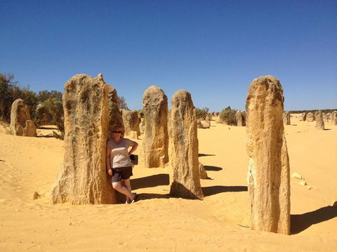 Pinnacles Desert, Koalas And Sandboarding 4WD Day Tour From Perth - Accommodation Bookings 17