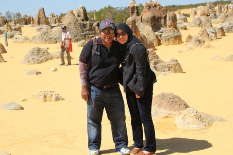 Pinnacles Desert, Koalas And Sandboarding 4WD Day Tour From Perth - Accommodation Bookings 12