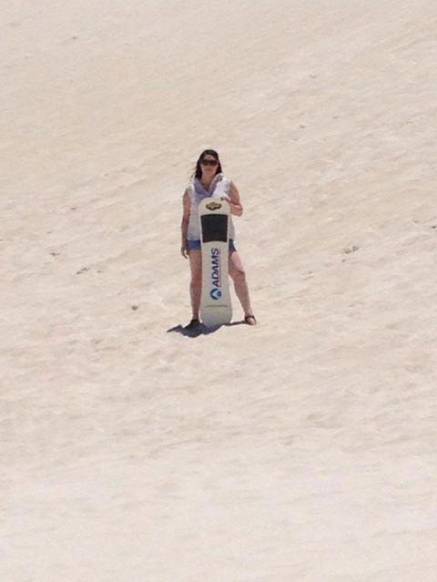 Pinnacles Desert, Koalas And Sandboarding 4WD Day Tour From Perth - Accommodation Bookings 21