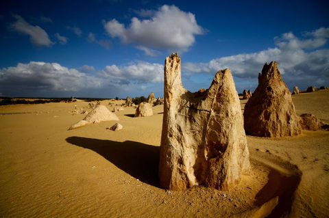 Pinnacles Desert, Koalas And Sandboarding 4WD Day Tour From Perth - Accommodation Bookings 6