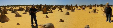 Pinnacles Desert, Koalas And Sandboarding 4WD Day Tour From Perth - Accommodation Bookings 11