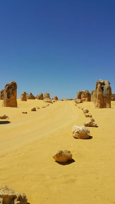 Pinnacles Desert, Koalas And Sandboarding 4WD Day Tour From Perth - Accommodation Bookings 3