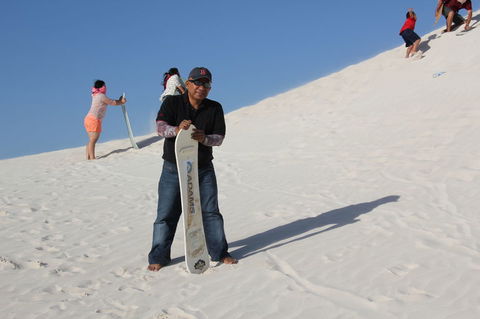 Pinnacles Desert, Koalas And Sandboarding 4WD Day Tour From Perth - Accommodation Bookings 9