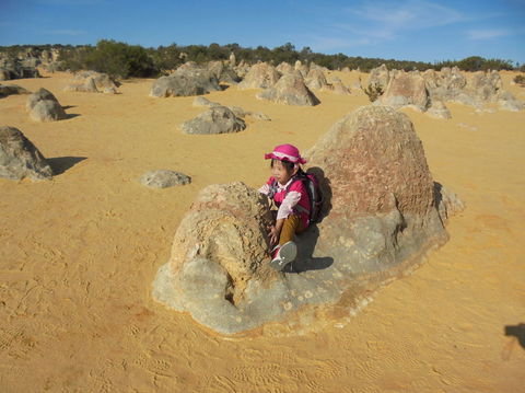 Pinnacles Desert, Koalas And Sandboarding 4WD Day Tour From Perth - Accommodation Bookings 7