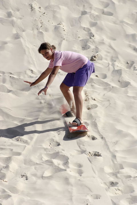 Pinnacles Desert, Koalas And Sandboarding 4WD Day Tour From Perth - Accommodation Bookings 24