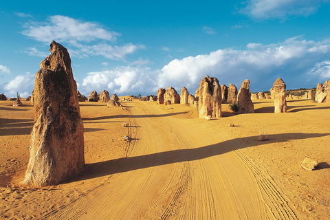 Pinnacles Desert, Koalas And Sandboarding 4WD Day Tour From Perth - Accommodation Bookings 0