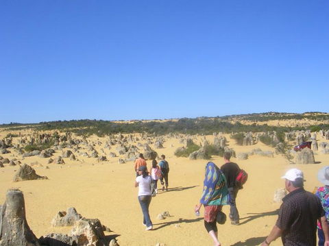 Pinnacles Desert, Koalas And Sandboarding 4WD Day Tour From Perth - Accommodation Bookings 25