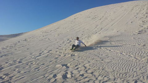 Pinnacles Desert, Koalas And Sandboarding 4WD Day Tour From Perth - Accommodation Bookings 14