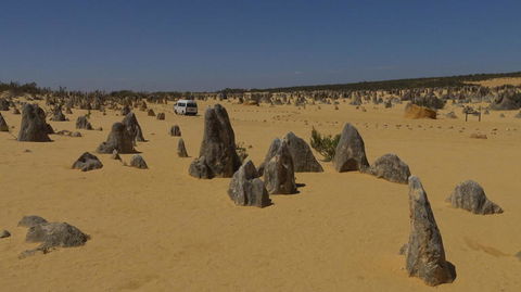 Pinnacles Desert, Koalas And Sandboarding 4WD Day Tour From Perth - Accommodation Bookings 4
