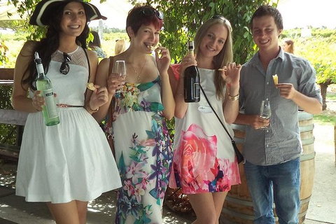 1/2 Day Swan Valley Wine Cheese & Chocolate Tour Inc Afternoon Cruise To Perth - Accommodation Bookings 2