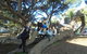 1/2 Day Swan Valley Wine Cheese & Chocolate Tour Inc Afternoon Cruise To Perth - thumb 10