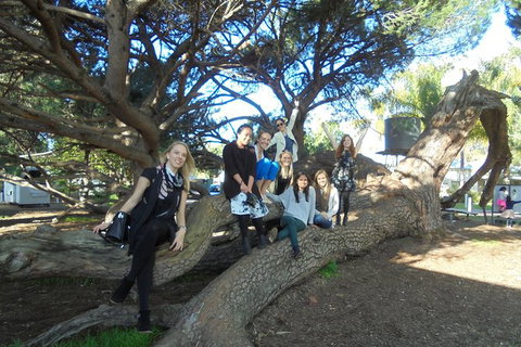 1/2 Day Swan Valley Wine Cheese & Chocolate Tour Inc Afternoon Cruise To Perth - Accommodation Bookings 10