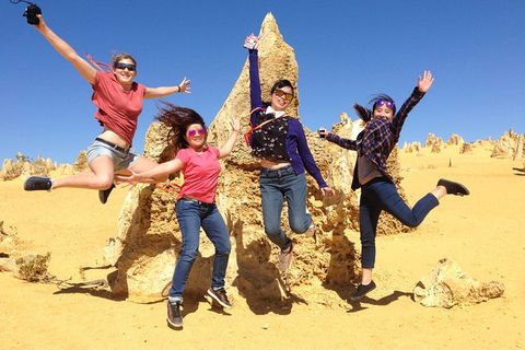 Pinnacles And Swan Valley Day Trip From Perth Including Caversham Wildlife Park, Vineyard Lunch, Pinnacles And Sandboarding - Accommodation Bookings 0