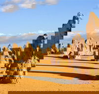 Pinnacles and Yanchep National Park Day Trip from Perth Including Lobster Shack Lunch and Sandboarding - Accommodation Bookings