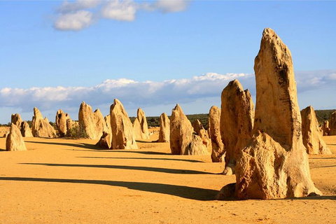 Pinnacles And Yanchep National Park Day Trip From Perth Including Lobster Shack Lunch And Sandboarding - Accommodation Bookings 9