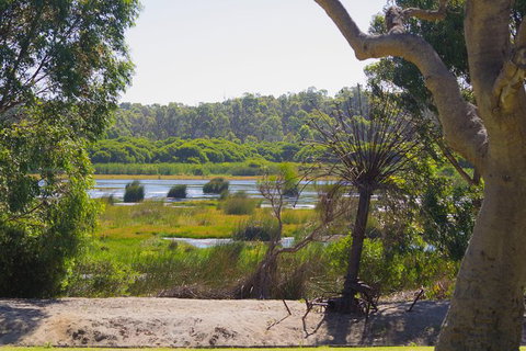 Pinnacles And Yanchep National Park Day Trip From Perth Including Lobster Shack Lunch And Sandboarding - Accommodation Bookings 10