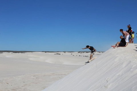 Pinnacles And Yanchep National Park Day Trip From Perth Including Lobster Shack Lunch And Sandboarding - Accommodation Bookings 4