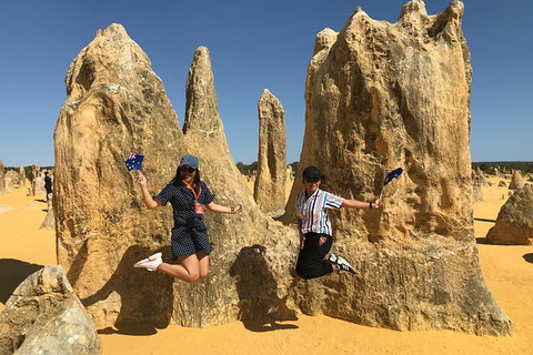 Pinnacles And Yanchep National Park Day Trip From Perth Including Lobster Shack Lunch And Sandboarding - Accommodation Bookings 2