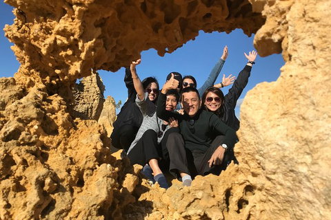 Pinnacles And Yanchep National Park Day Trip From Perth Including Lobster Shack Lunch And Sandboarding - Accommodation Bookings 5