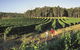 Margaret River, Caves, Wine And Cape Leeuwin Lighthouse Tour From Perth - thumb 0