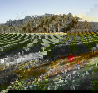 Margaret River Caves Wine and Cape Leeuwin Lighthouse Tour from Perth - Accommodation Bookings