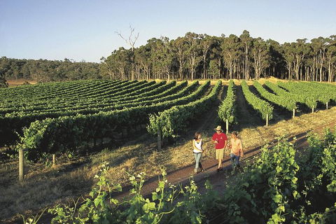 Margaret River, Caves, Wine And Cape Leeuwin Lighthouse Tour From Perth - Accommodation Bookings 0
