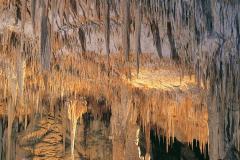 Margaret River, Caves, Wine And Cape Leeuwin Lighthouse Tour From Perth - Accommodation Bookings 27