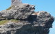 Rottnest Island Tour From Perth Or Fremantle Including Adventure Speed Boat Ride - thumb 7