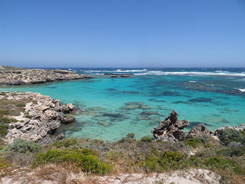 Rottnest Island Tour From Perth Or Fremantle Including Adventure Speed Boat Ride - Accommodation Bookings 3