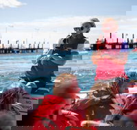Rottnest Island Tour from Perth or Fremantle including Adventure Speed Boat Ride - Accommodation Bookings
