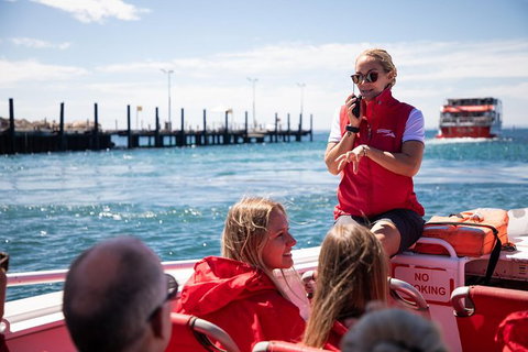 Rottnest Island Tour From Perth Or Fremantle Including Adventure Speed Boat Ride - Accommodation Bookings 0