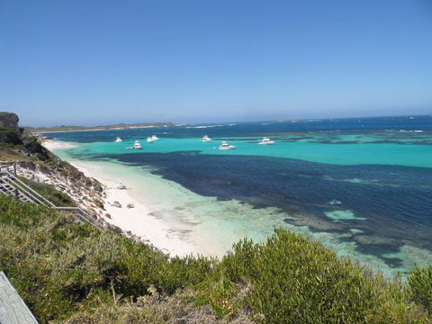 Rottnest Island Tour From Perth Or Fremantle Including Adventure Speed Boat Ride - Accommodation Bookings 2