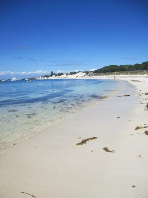 Rottnest Island Tour From Perth Or Fremantle Including Adventure Speed Boat Ride - Accommodation Bookings 4