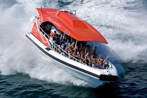 Rottnest Island Tour From Perth Or Fremantle Including Adventure Speed Boat Ride - Accommodation Bookings 11