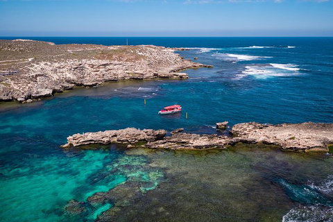 Rottnest Island Tour From Perth Or Fremantle Including Adventure Speed Boat Ride - Accommodation Bookings 13