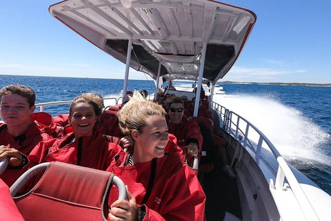 Rottnest Island Tour From Perth Or Fremantle Including Adventure Speed Boat Ride - Accommodation Bookings 8